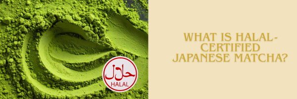 What Is Halal-Certified Japanese Matcha?